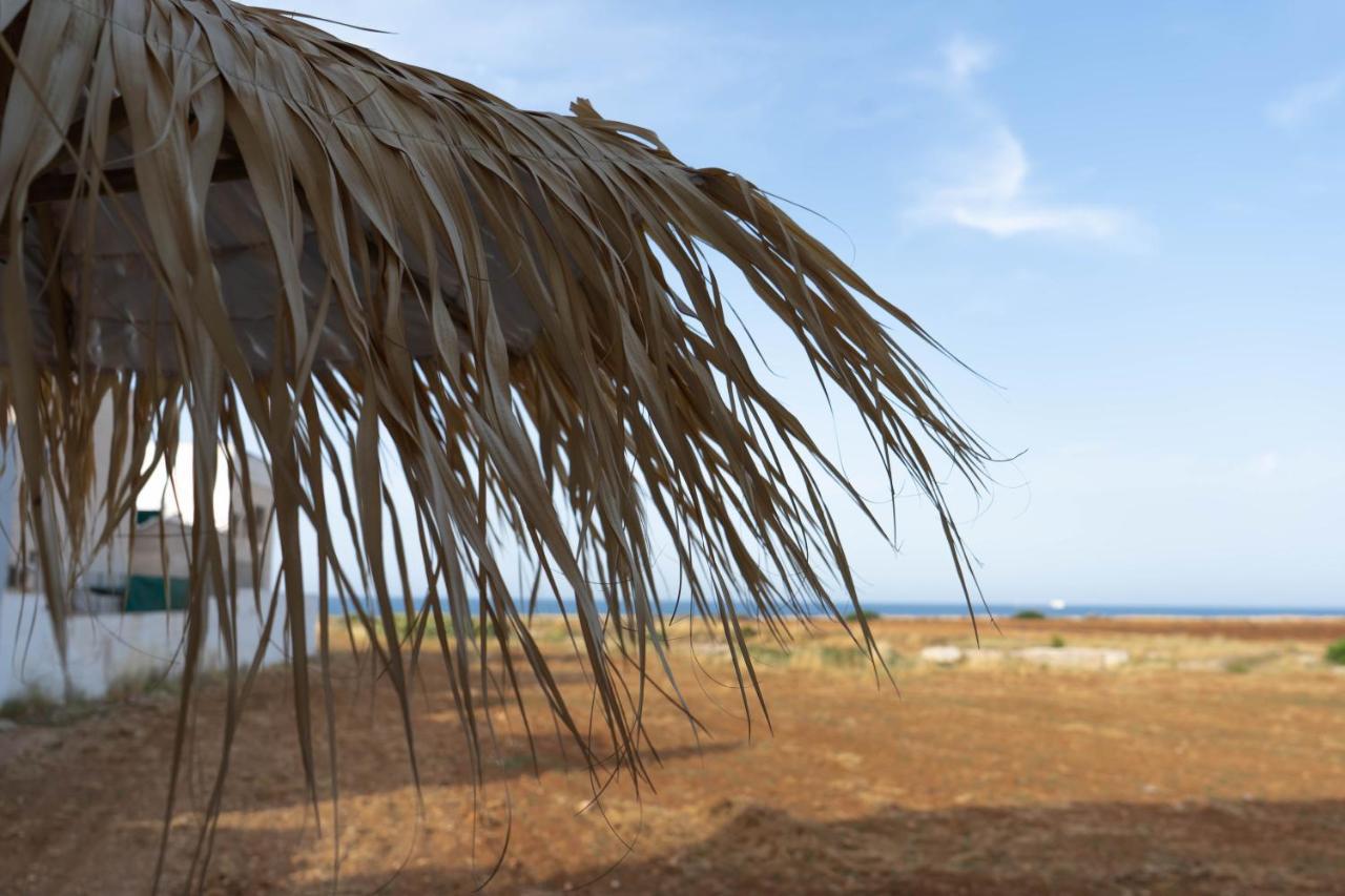 Cala Paradiso Monopoli Εξωτερικό φωτογραφία
