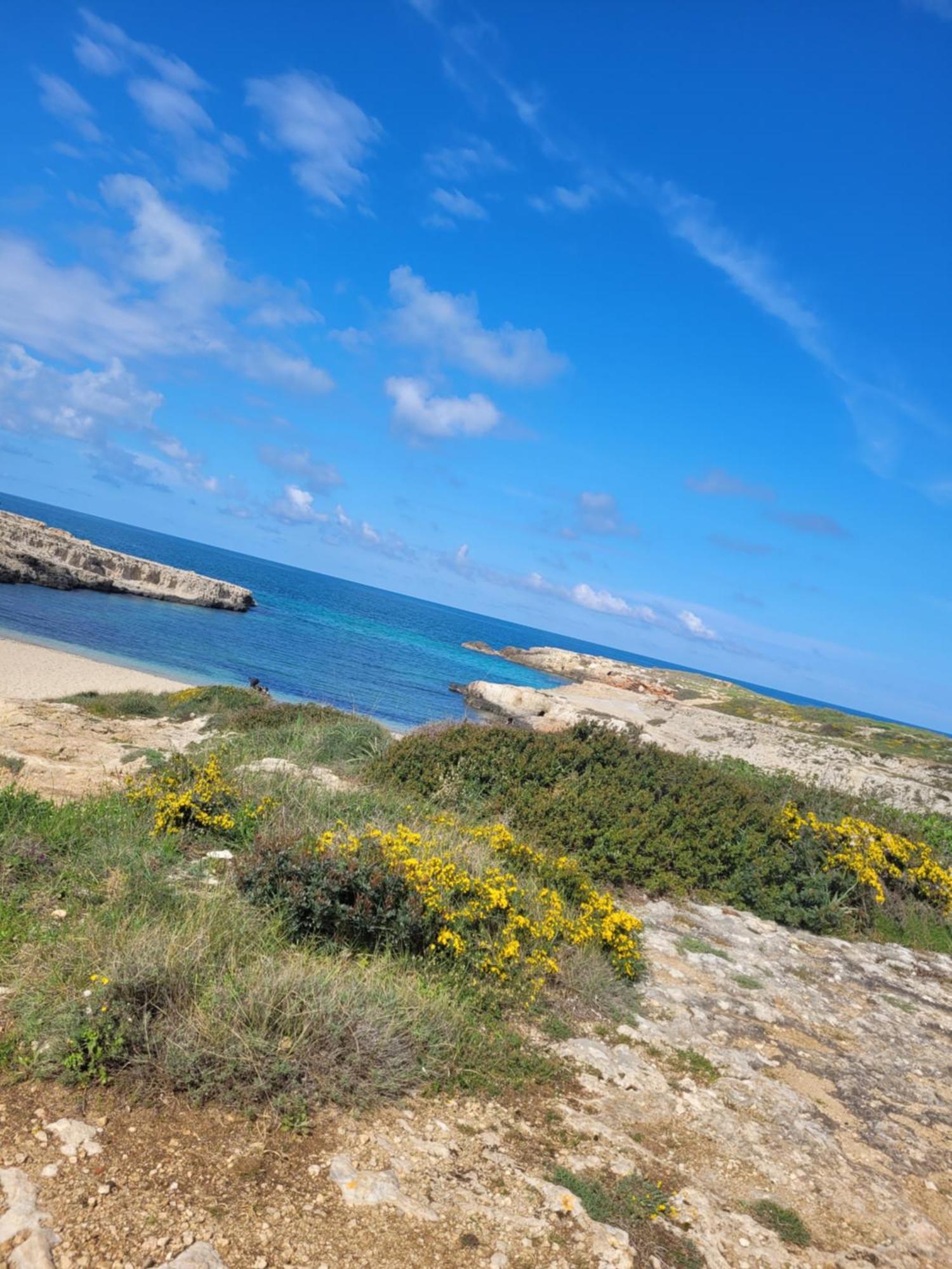 Cala Paradiso Monopoli Εξωτερικό φωτογραφία