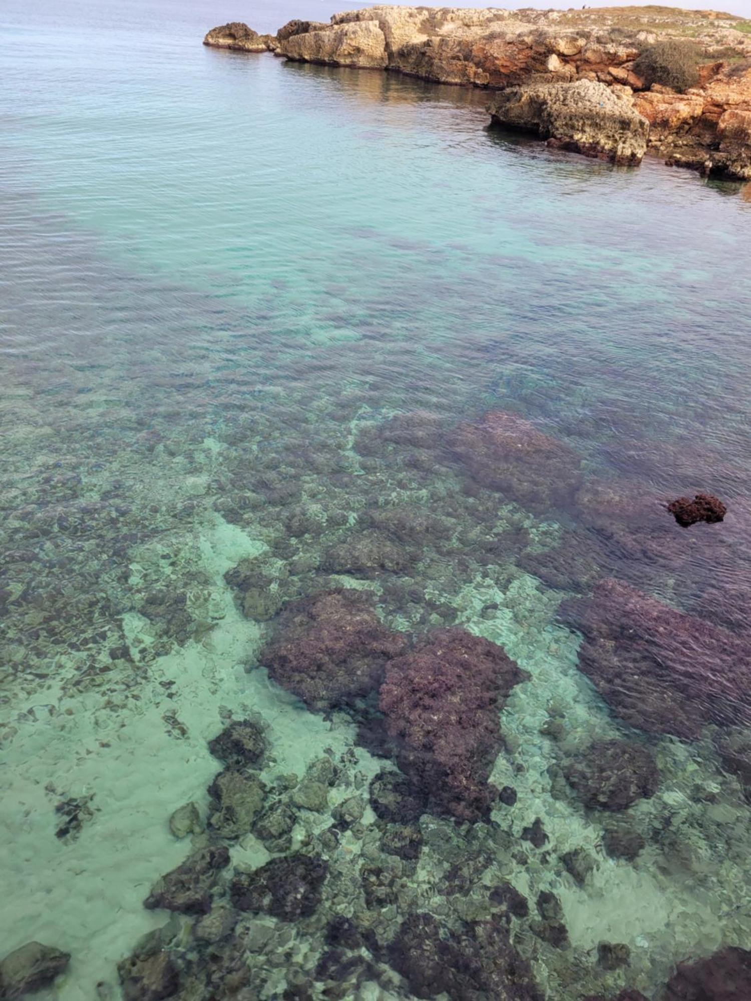 Cala Paradiso Monopoli Εξωτερικό φωτογραφία