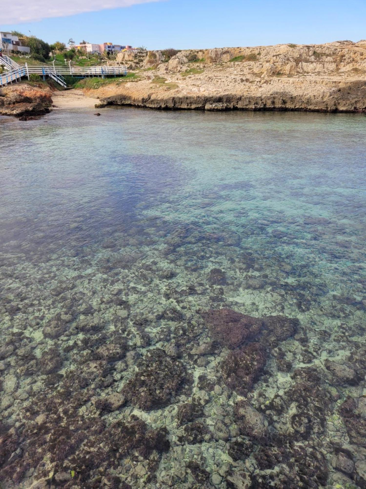 Cala Paradiso Monopoli Εξωτερικό φωτογραφία