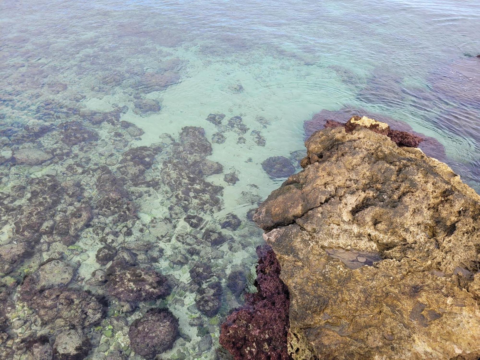 Cala Paradiso Monopoli Εξωτερικό φωτογραφία
