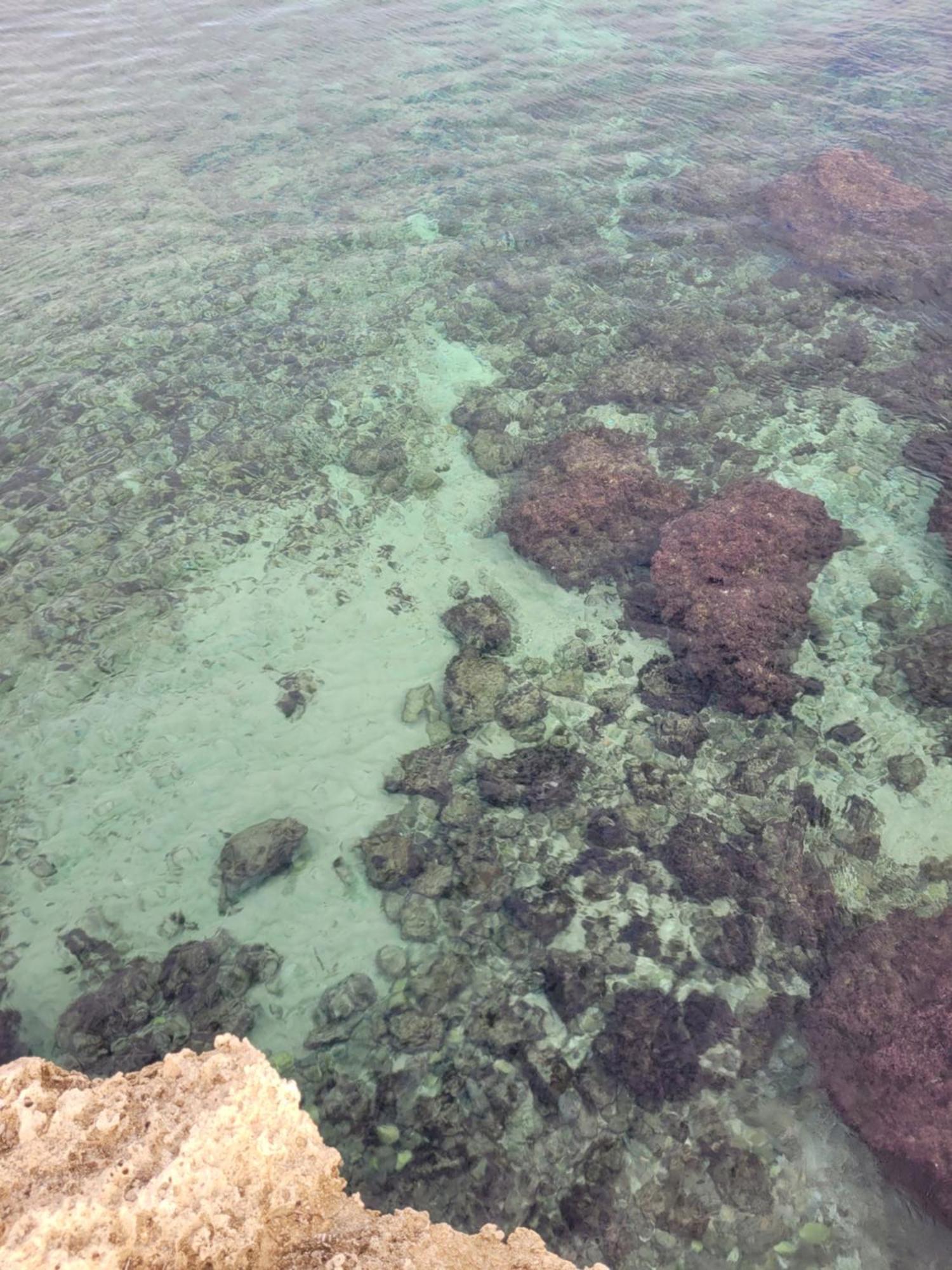 Cala Paradiso Monopoli Εξωτερικό φωτογραφία