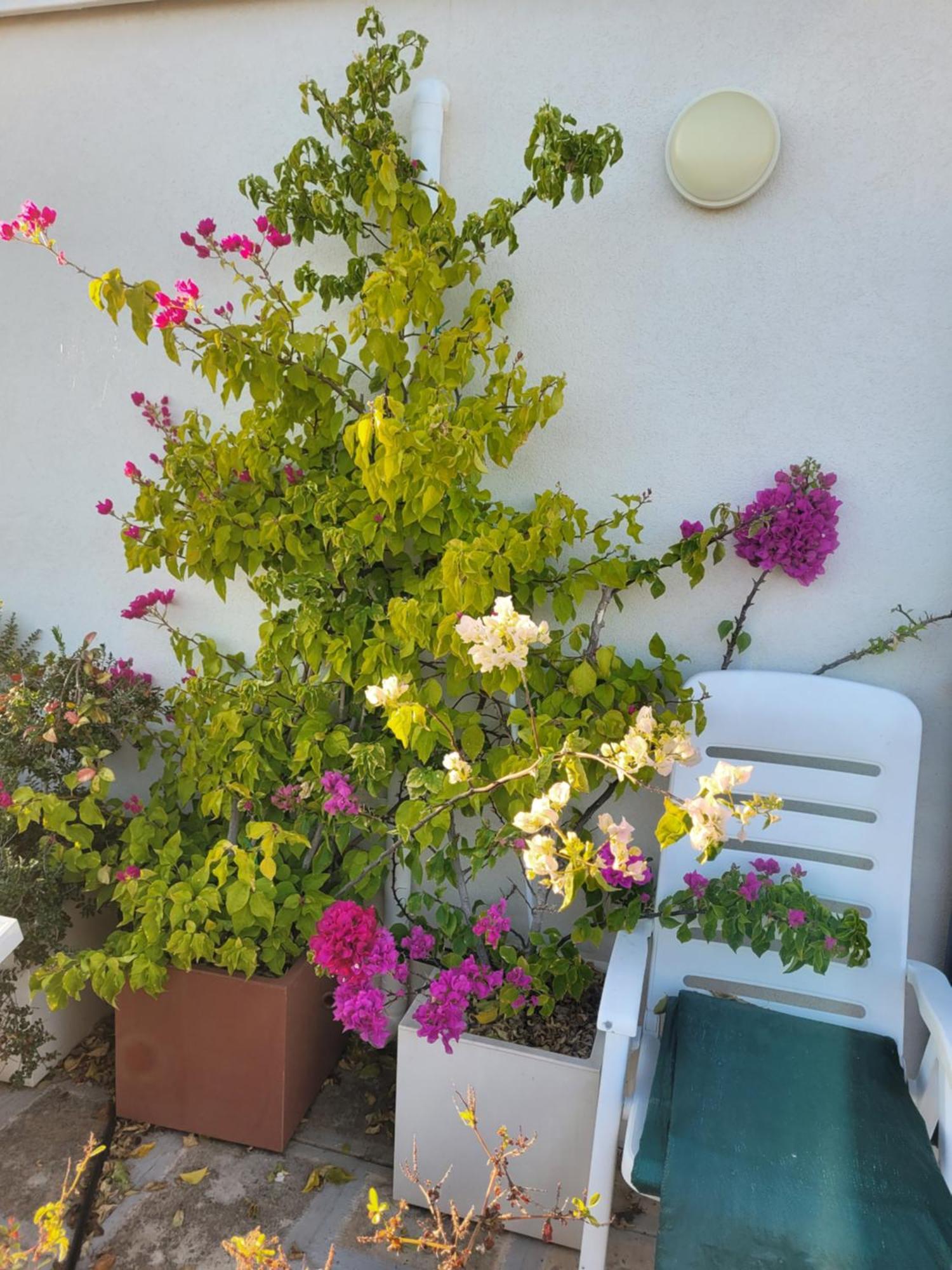 Cala Paradiso Monopoli Εξωτερικό φωτογραφία